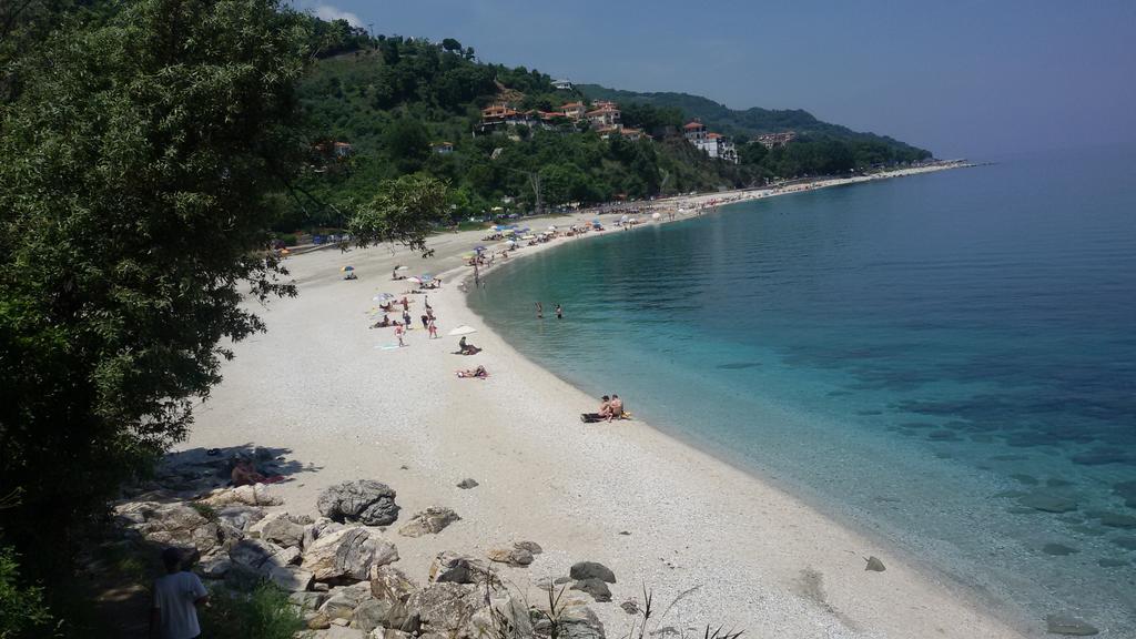 Vergopoulos Oliveyard Mourésion Dış mekan fotoğraf